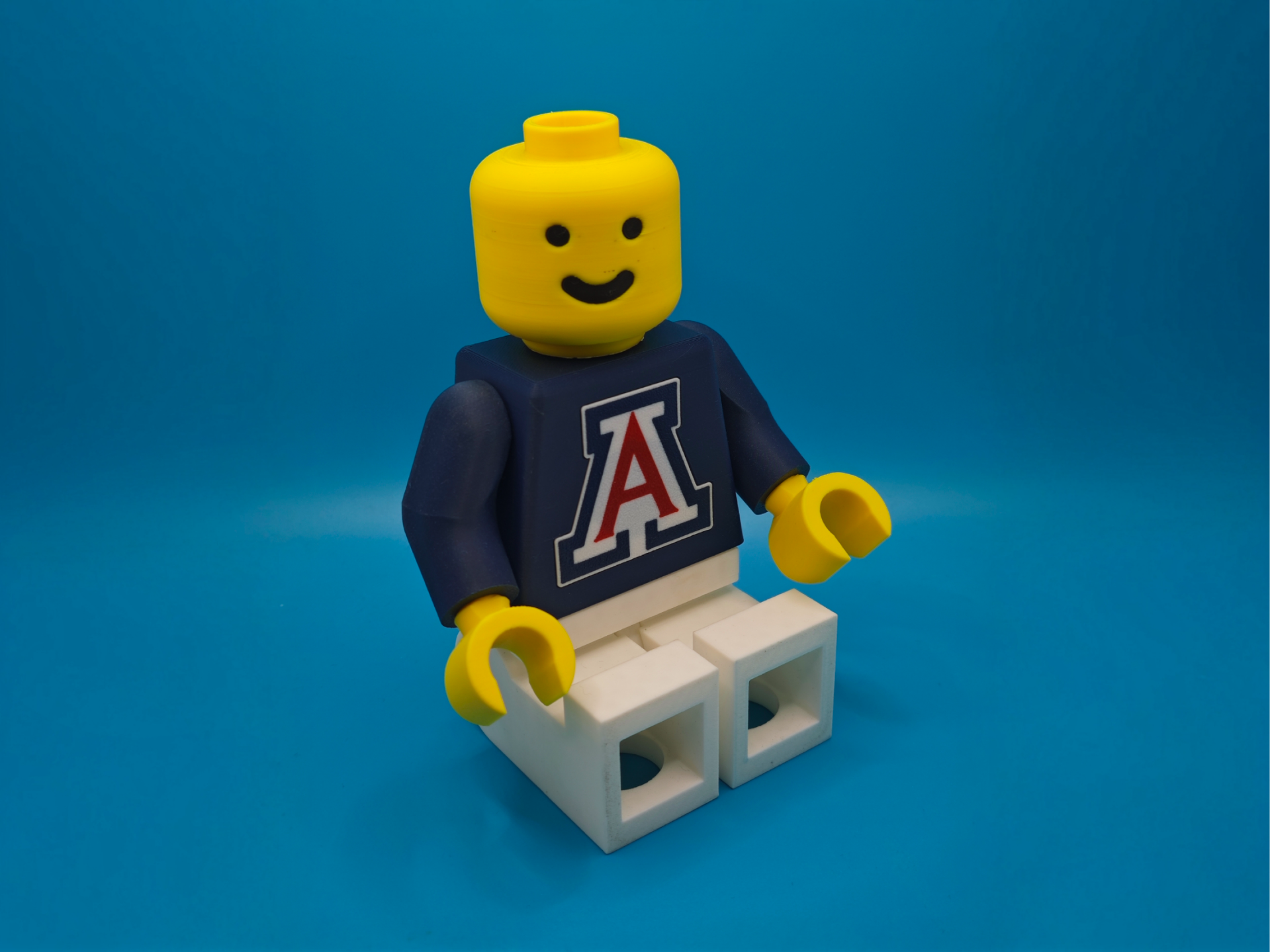Brick Man - University of Arizona