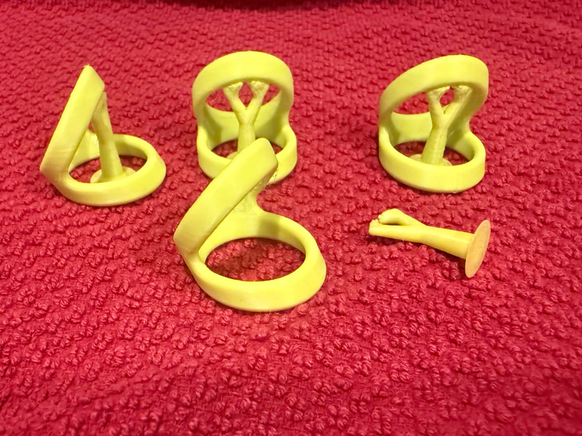 Cat Toy