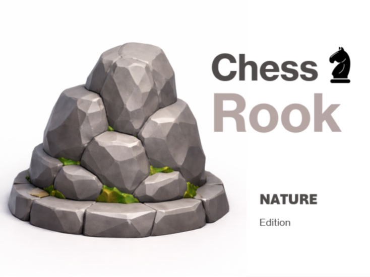 Chess Rook