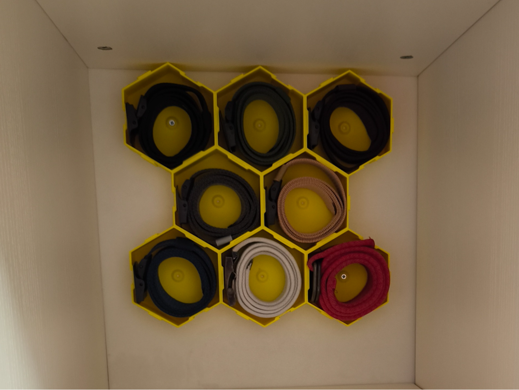 HEX Belt Organizer - Wardrobe Belt Compartments