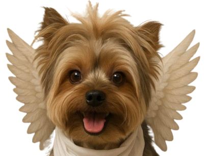 Cachorro jerry