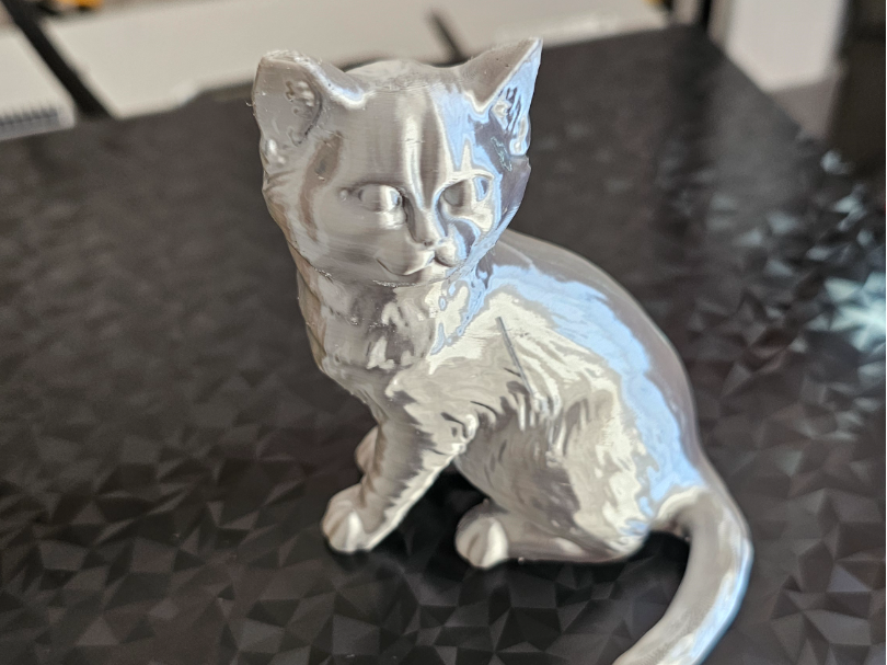 British Shorthair cat