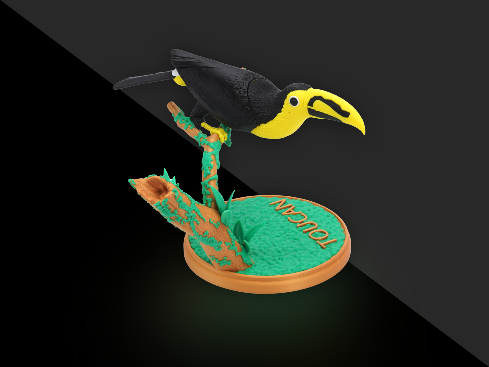 Toucan [Multimaterial]