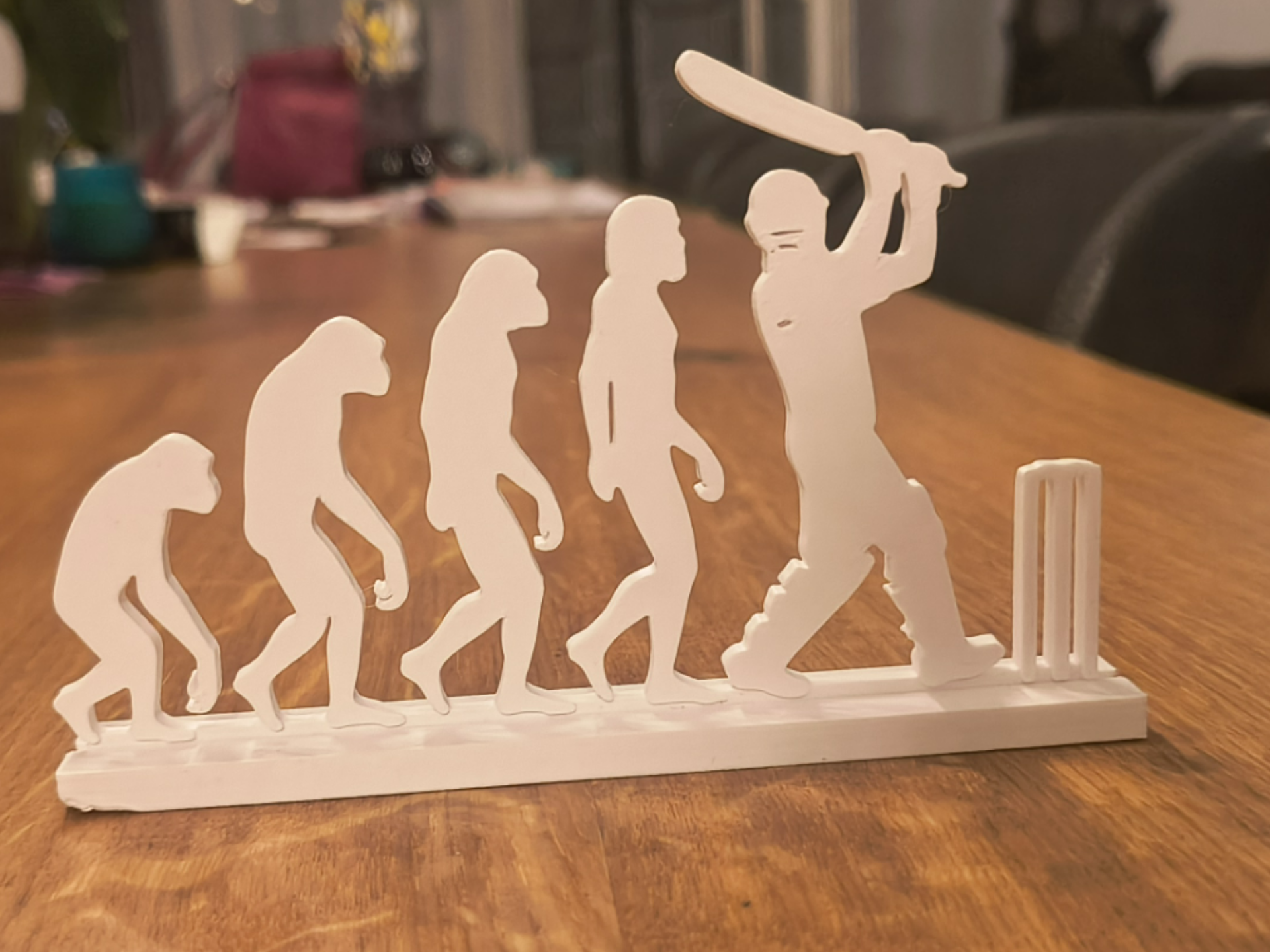 Human Evolution – Cricket Edition!