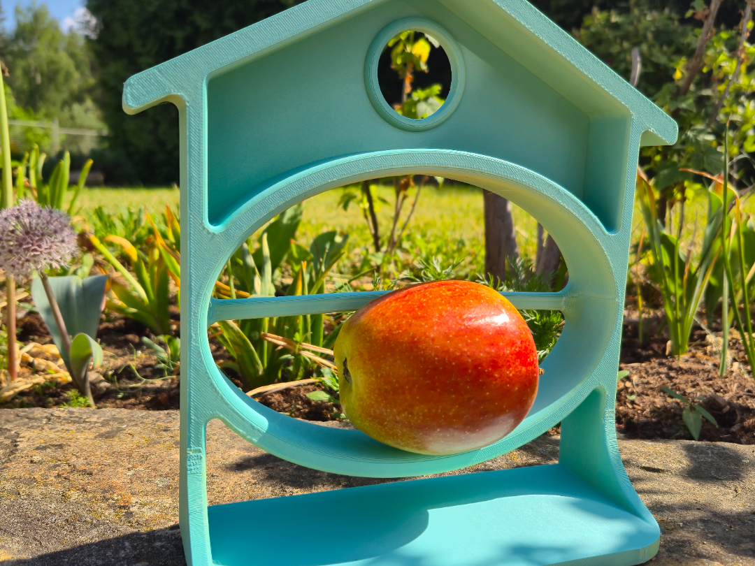 BIRD HOUSE