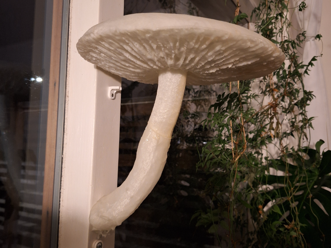 Lifelike Mushroom Shelf