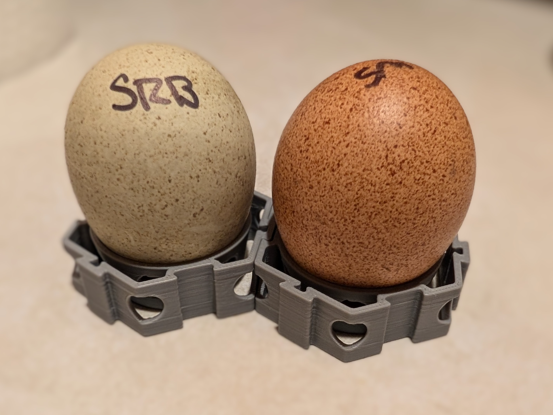 Vented Modular Egg Tray