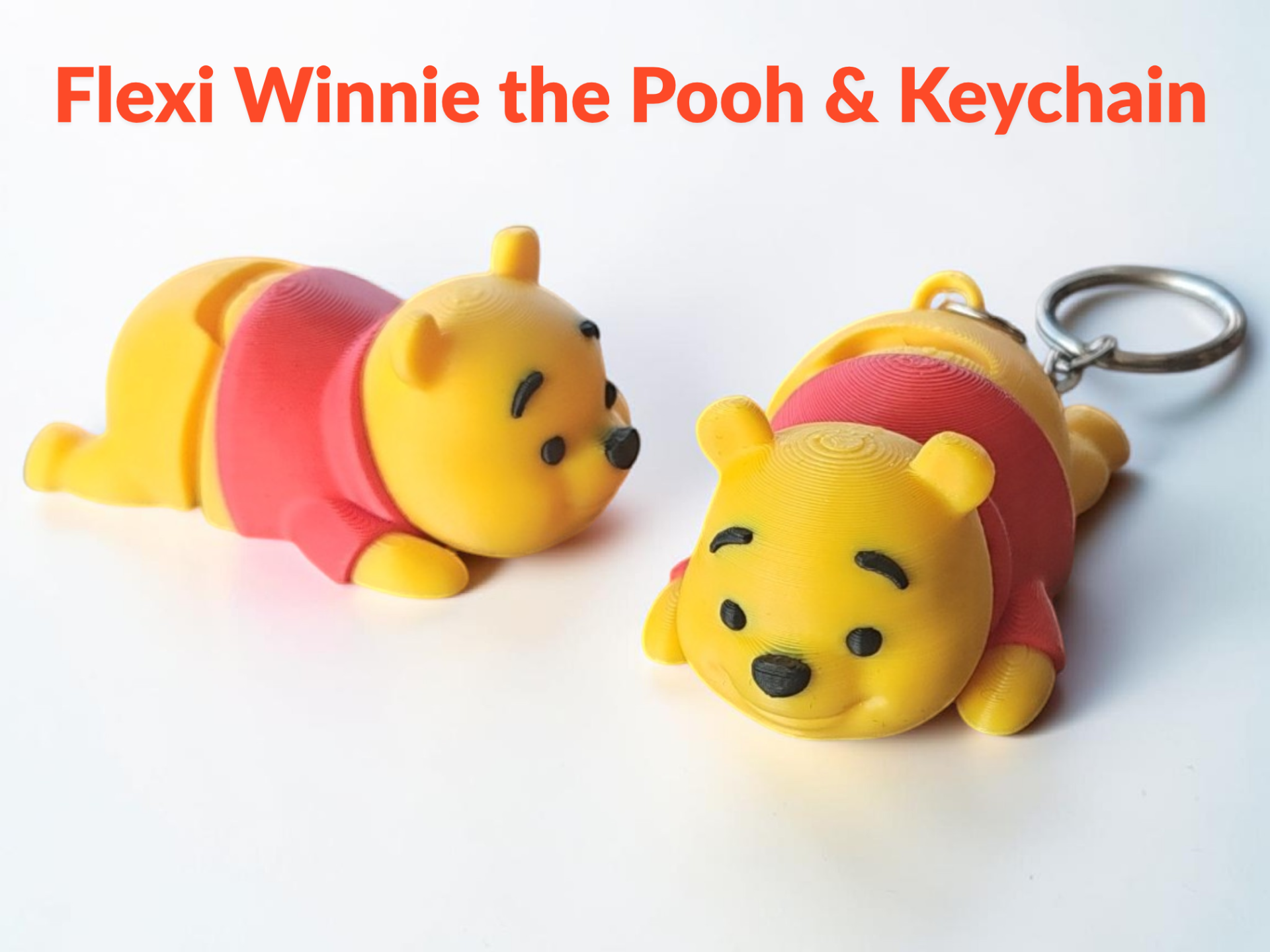 Flexi Winnie the Pooh & Keychain