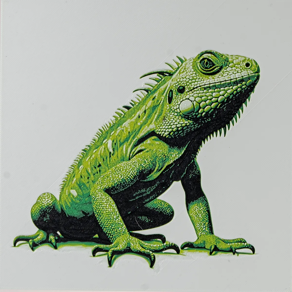 Iguana HueForge