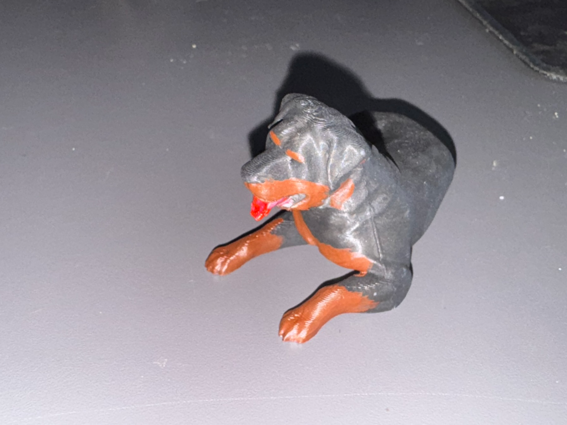 Rottweiler