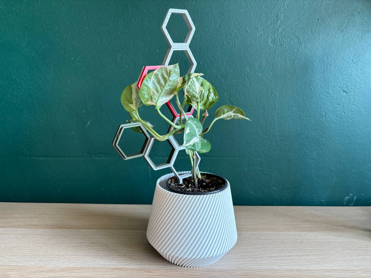 Modular plant / flower support
