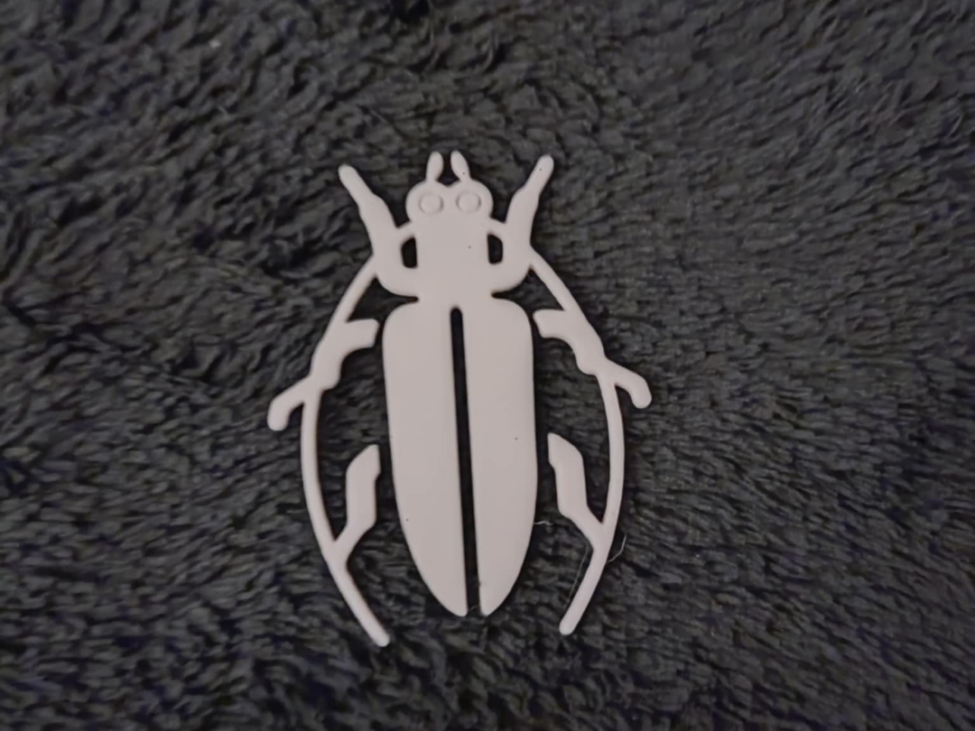 Insect