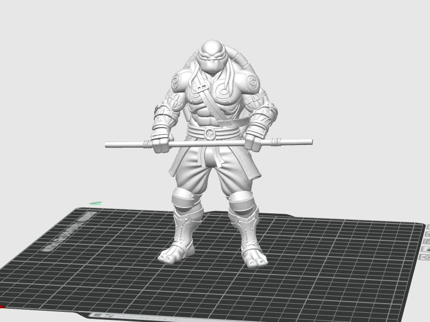 Donatello: Tartaruga Ninja