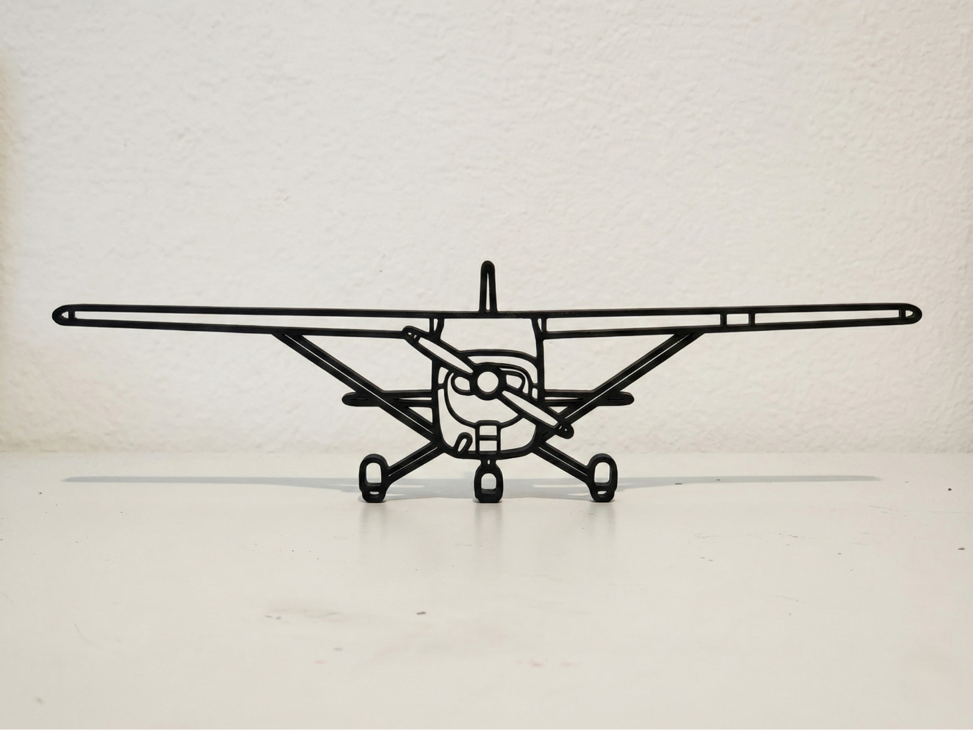 Cessna 172 Skyhawk Front Wall Art