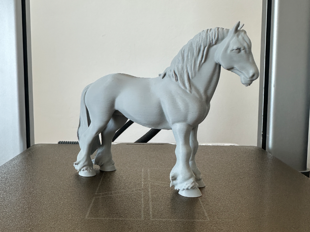 Shire Horse