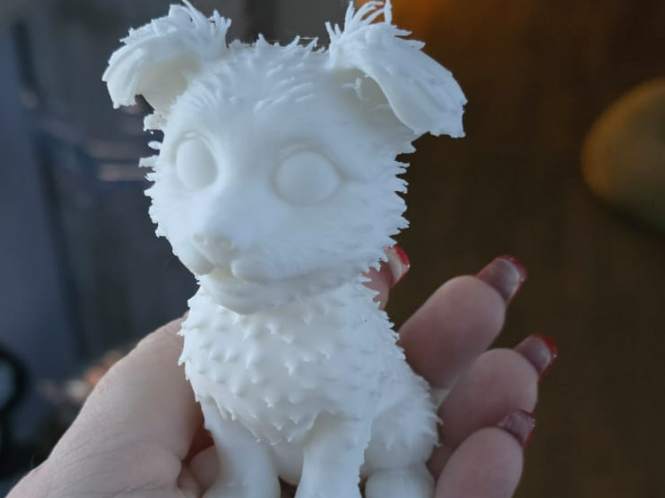 Tiny Dog
