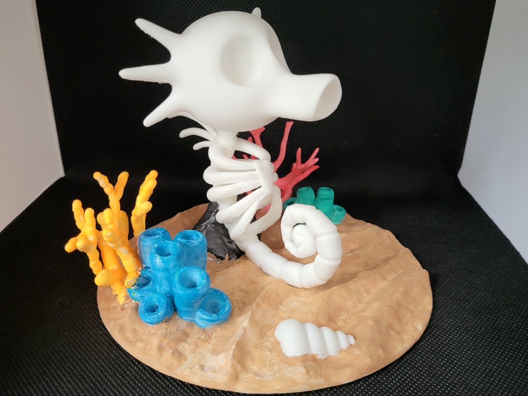 Horsea sekeleton