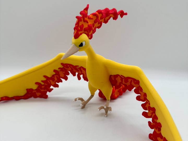 Moltres Multicolor