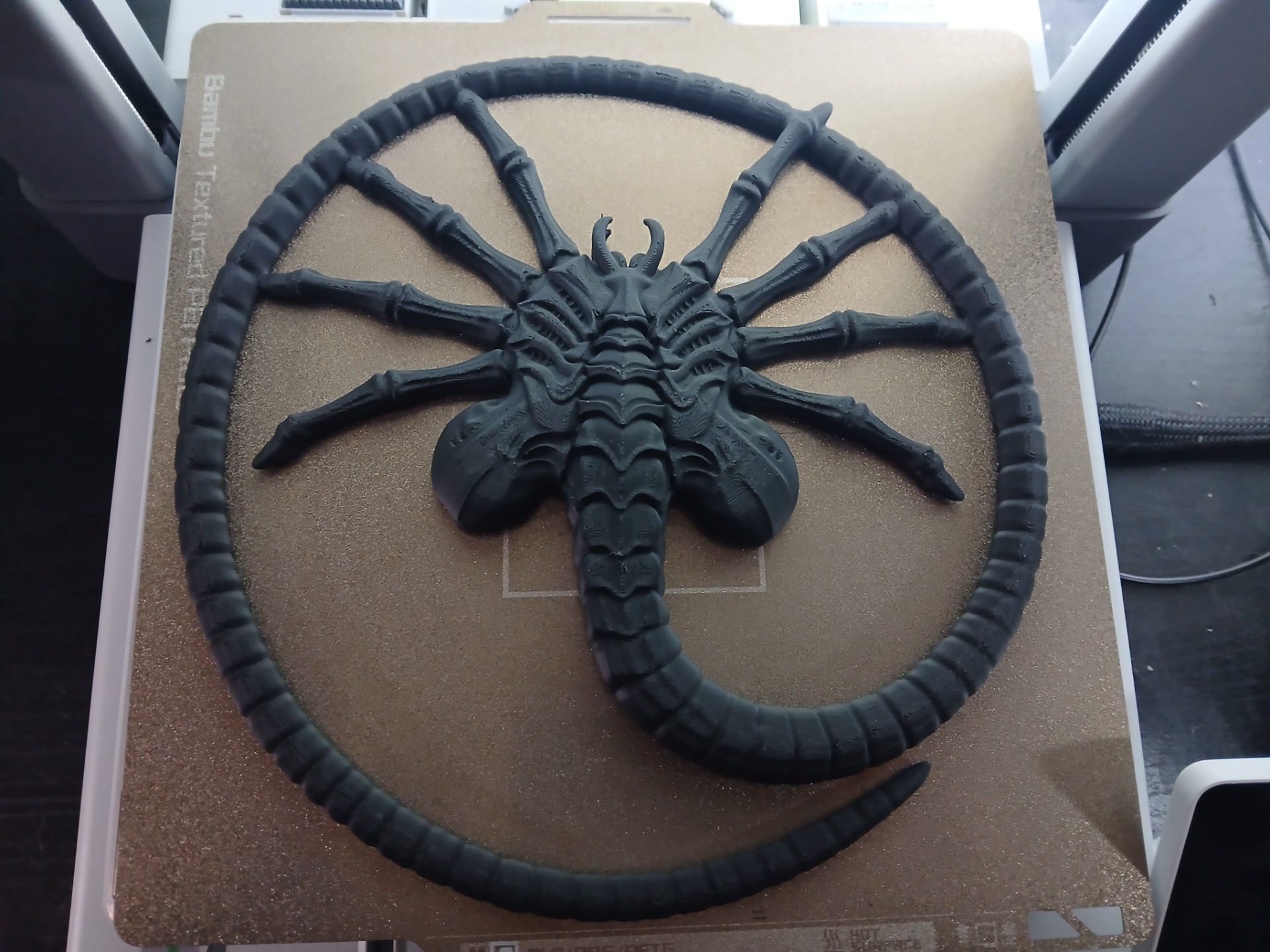 Facehugger Wallart