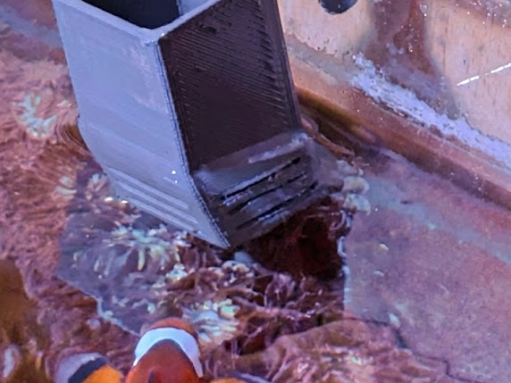 Fish Feeder