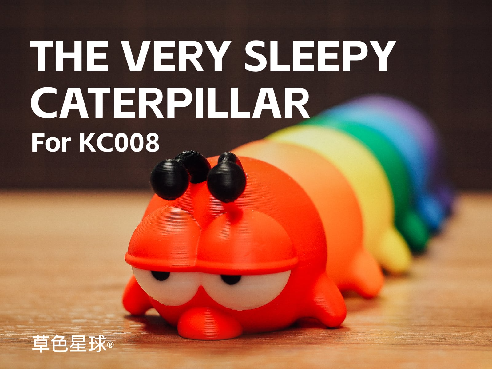 The Very Sleepy Caterpillar (for KC008)
