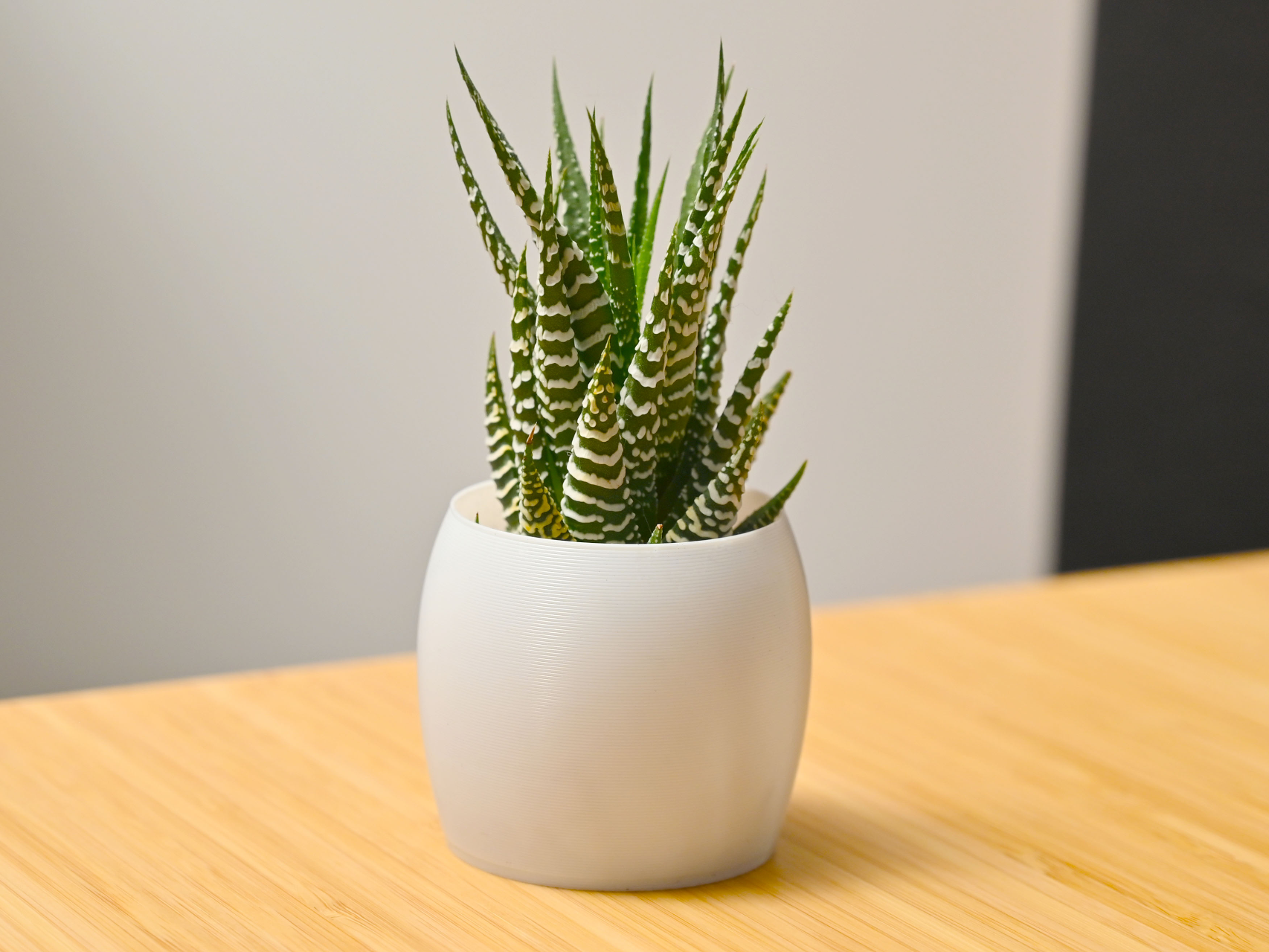 Smooth Modern Pot