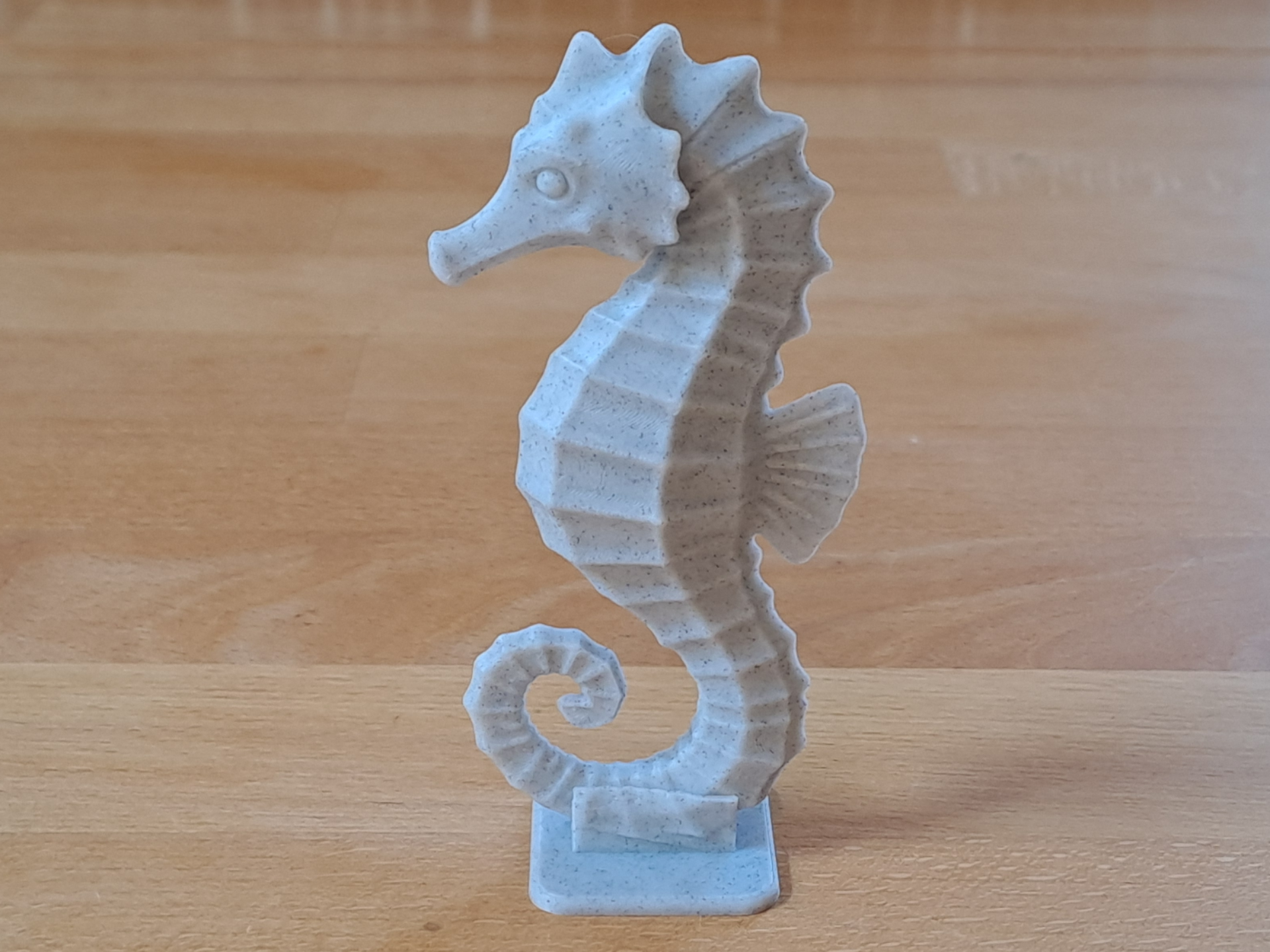 Adorable Seahorse