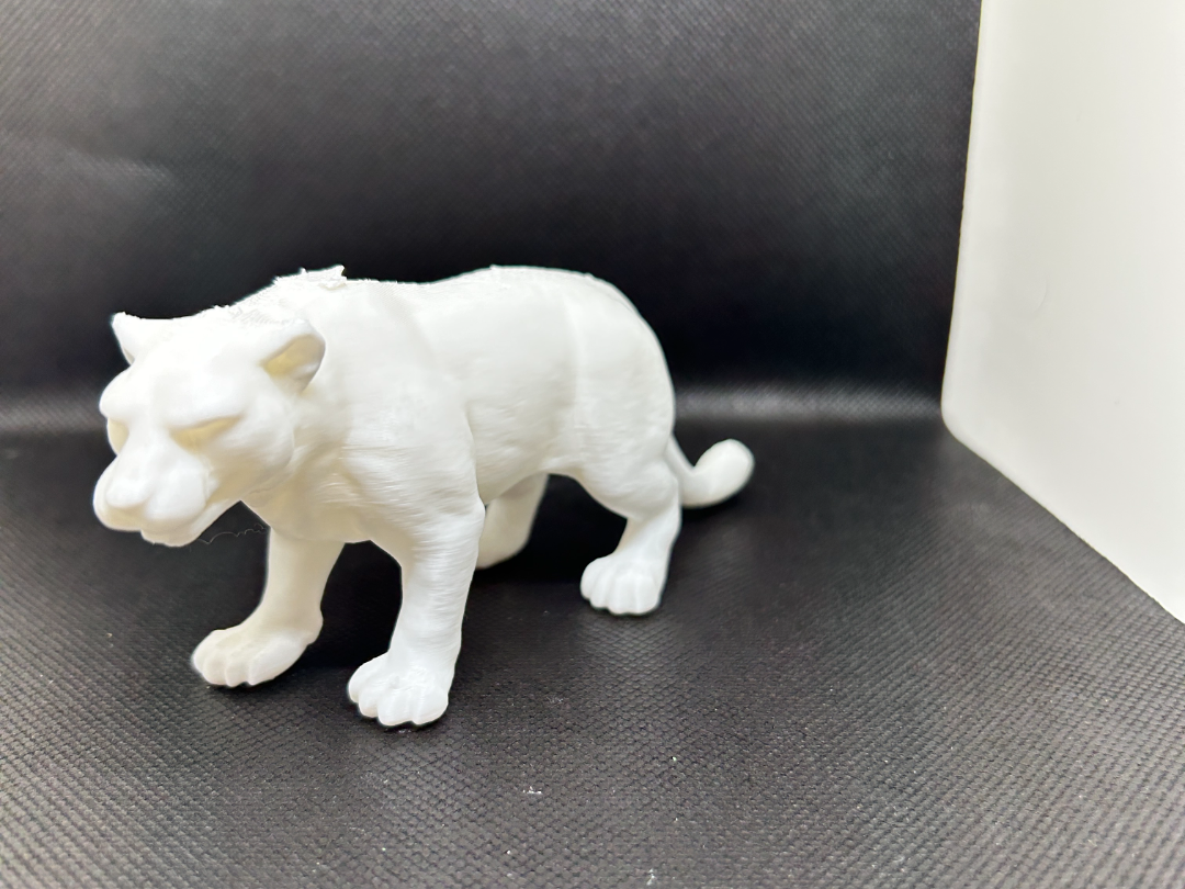 Snow Leopard