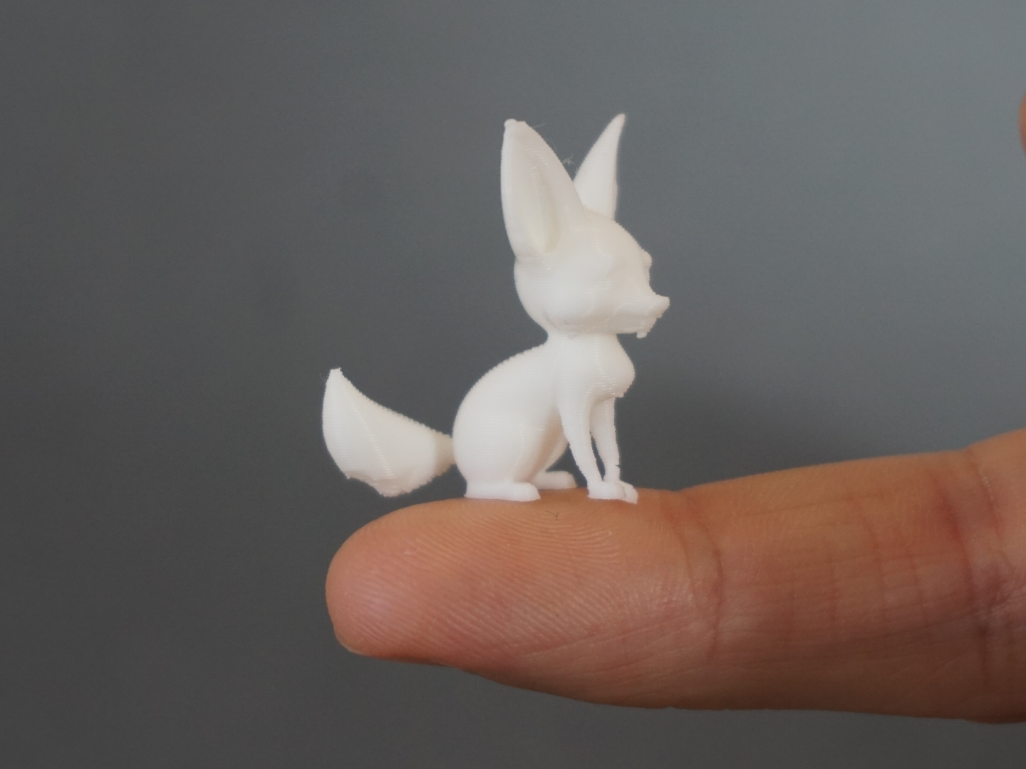 cute Fennec Fox (many sizes from 22min print)