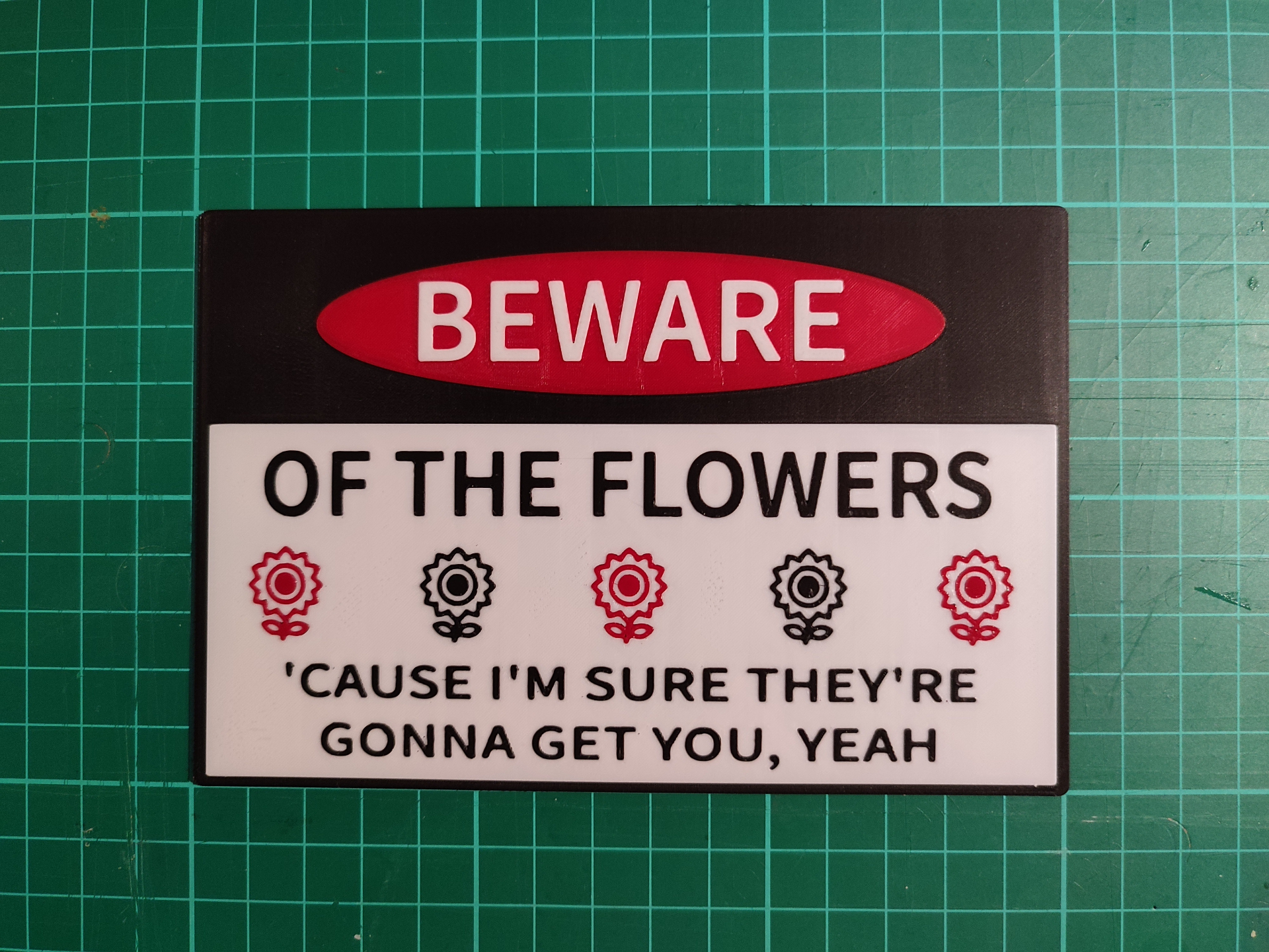 "Beware of the Flowers" warning sign (John Otway)