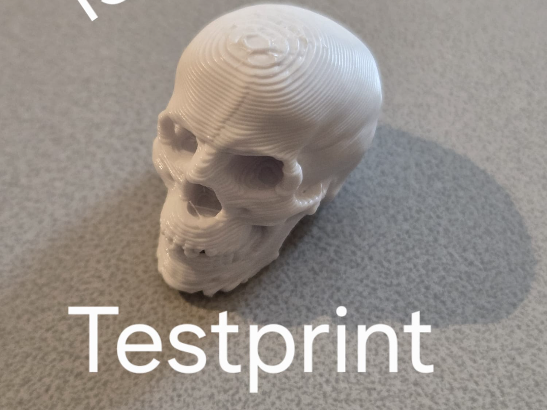 Testprint Skull fast print