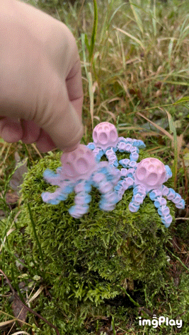 Baby Hole Octopus