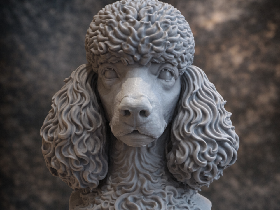 Busto di Barboncino (Poodle Dog)