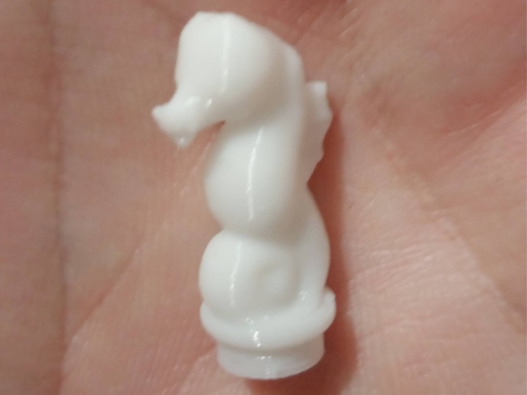 Sea Horse