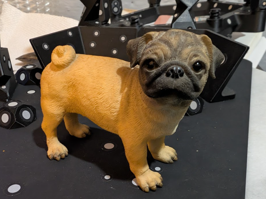 Detailed Tiny Pug Dog