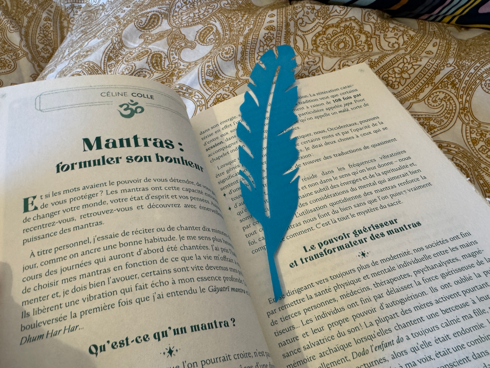 Feather bookmark / 2D wall art