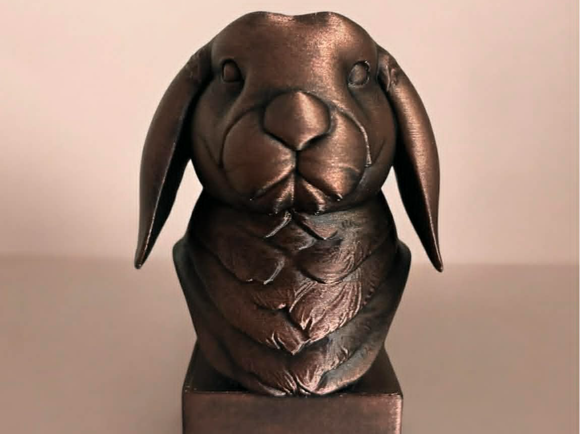 French lop bust