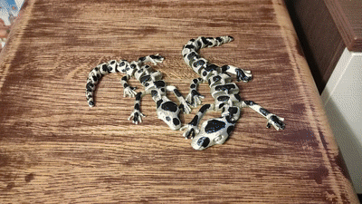 ARTICULATED SALAMANDER