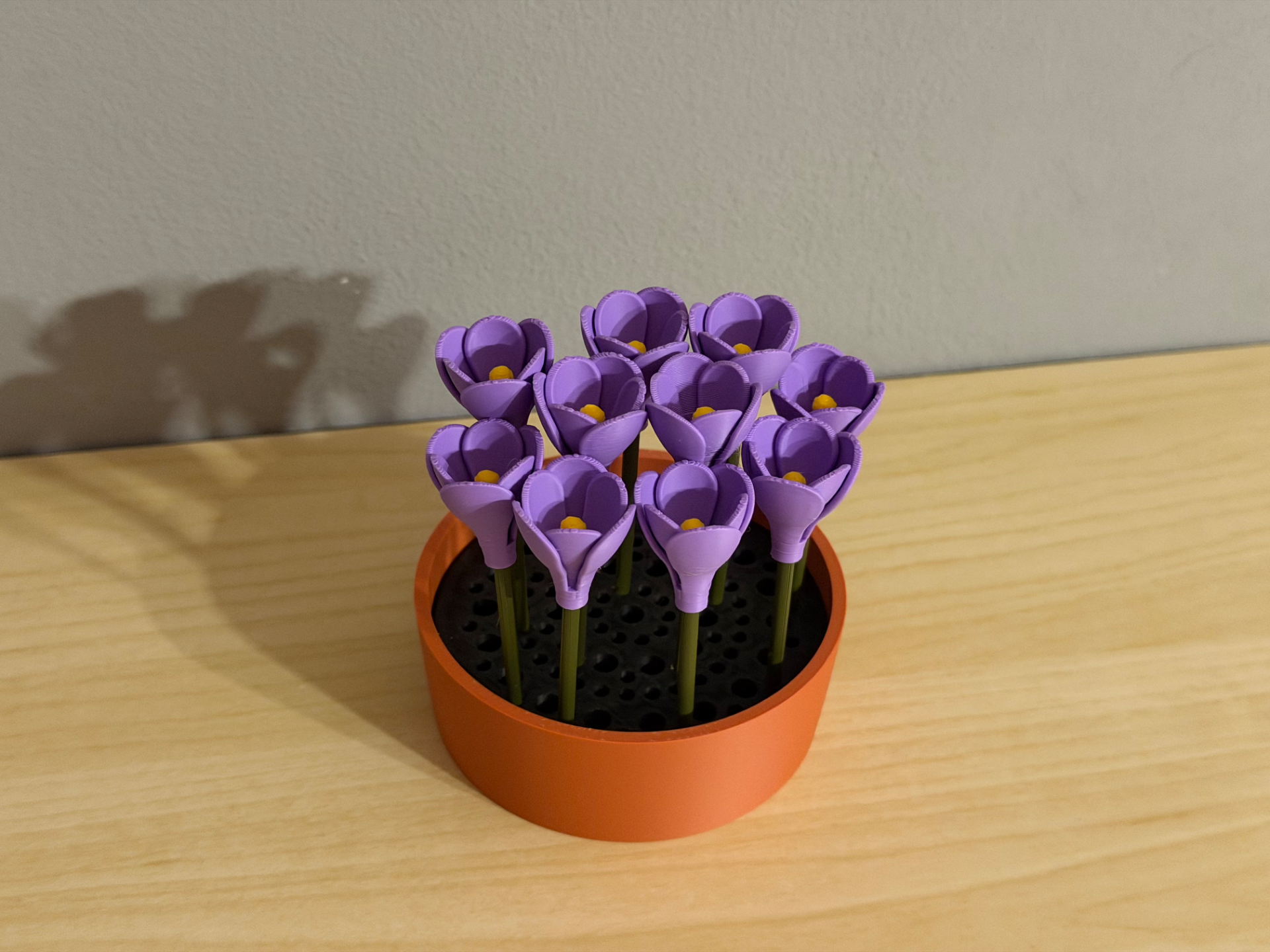 Crocus Flower - Modular