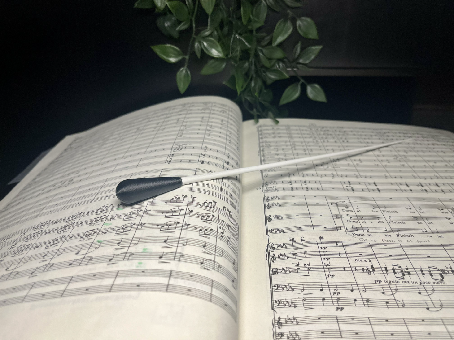 Conducting Baton