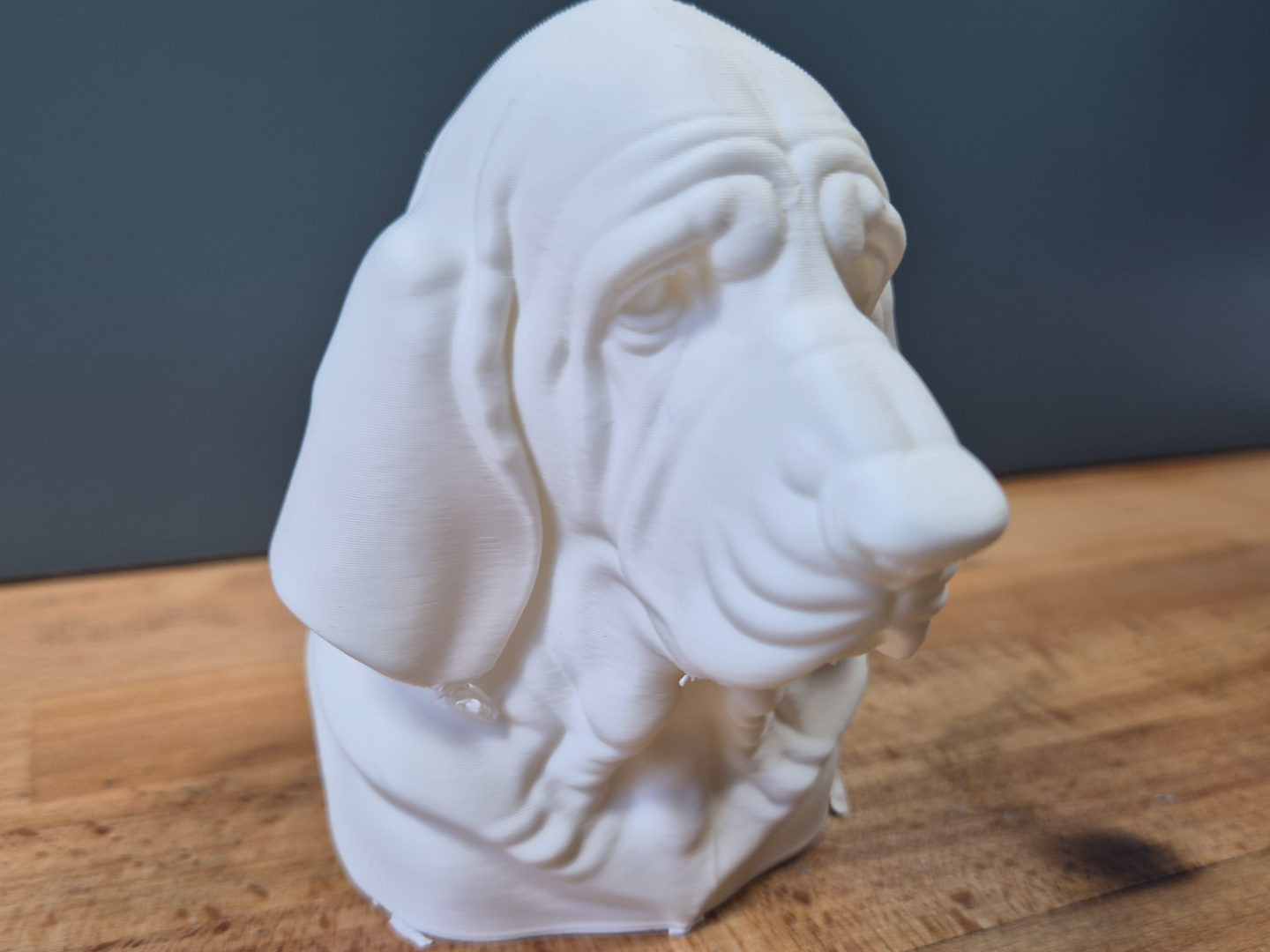 Blood Hound Bust