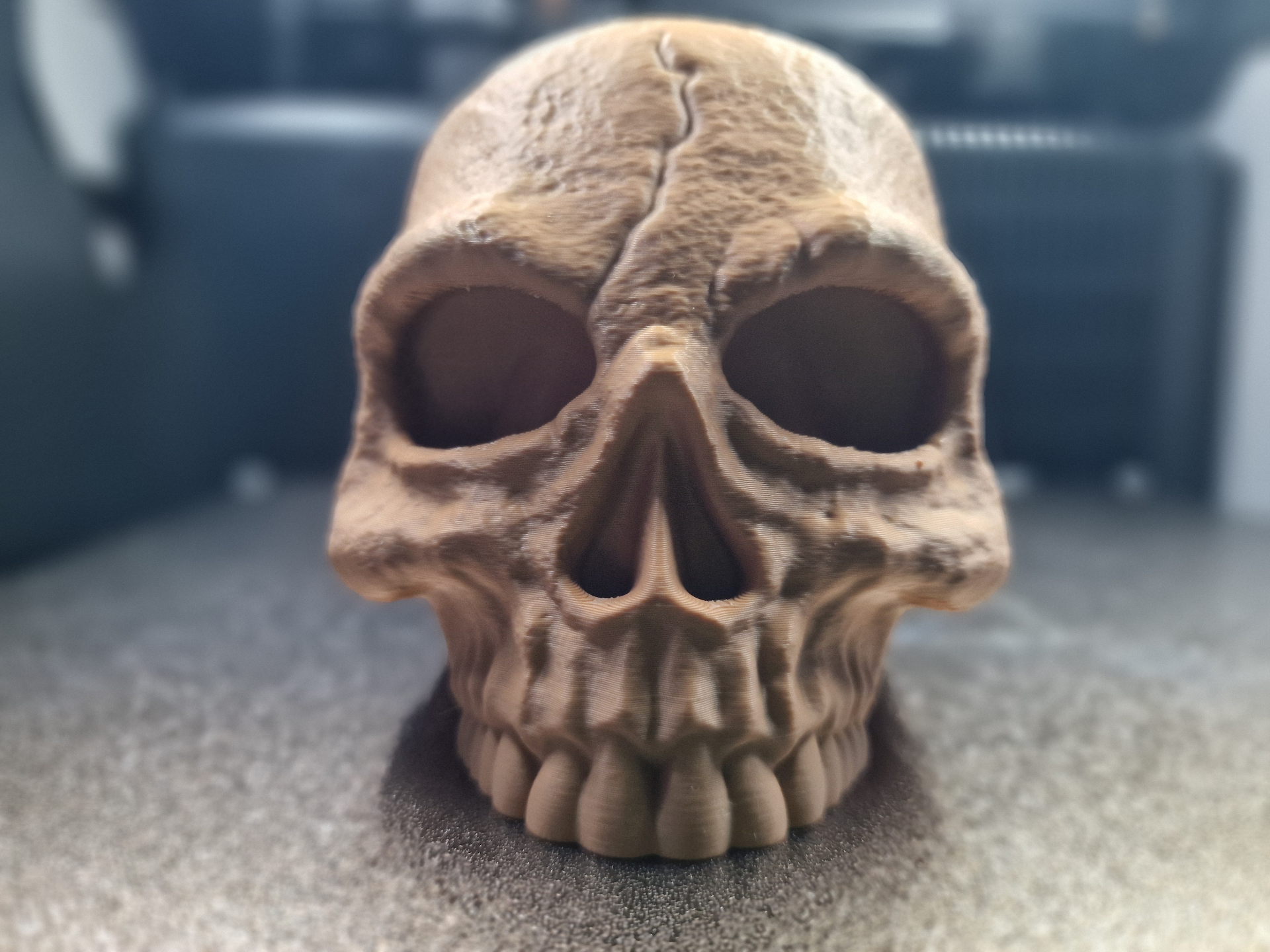 Skull Hide Vivarium Decor