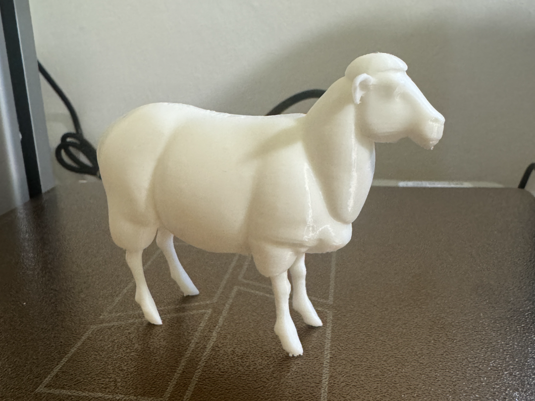 Sheep