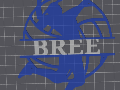 Bree Volleyball Sign