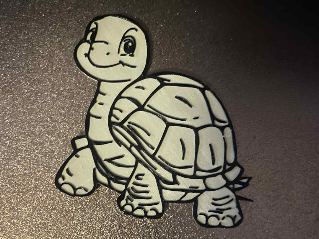 Tortoise