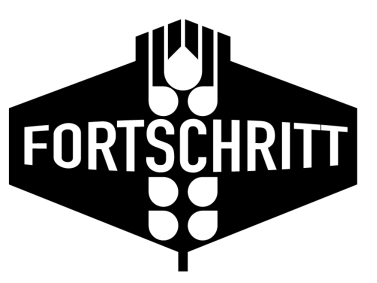 Fortschritt Relief