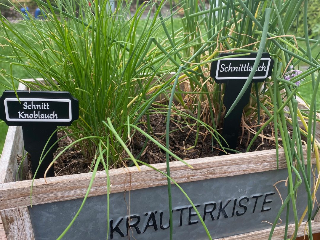 Pflanzen Kräuter Schilder personalisierbar Retro