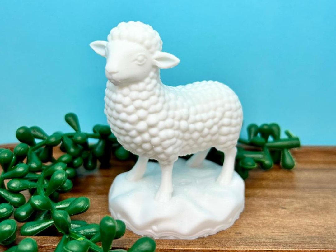 sheep