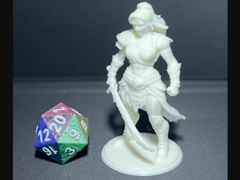 D&D-Mensch-Kriegerin