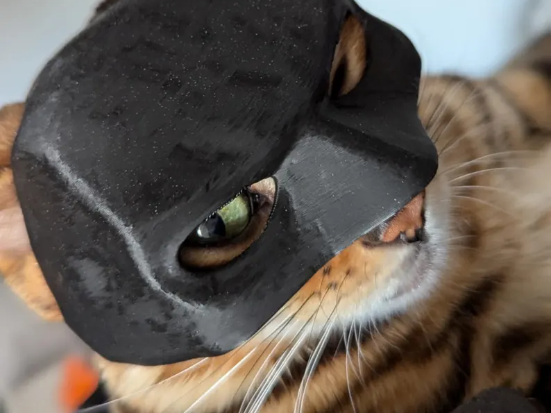 Batcat Mask / CatMan The Dark Meow Cat Bat Mask